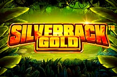 Silverback Gold